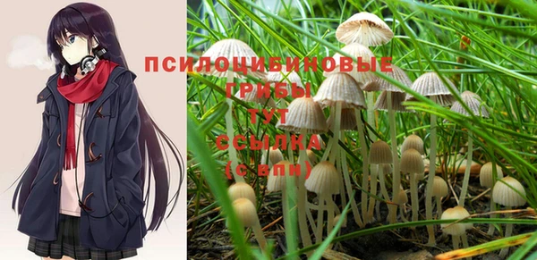 ALPHA-PVP Новодвинск