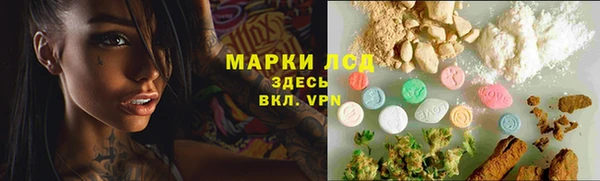 индика Новокубанск