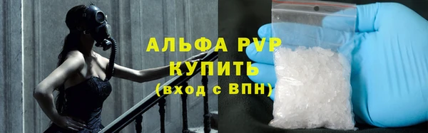 индика Новокубанск