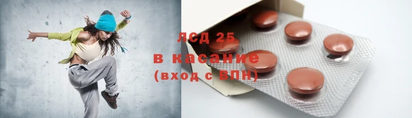 индика Новокубанск