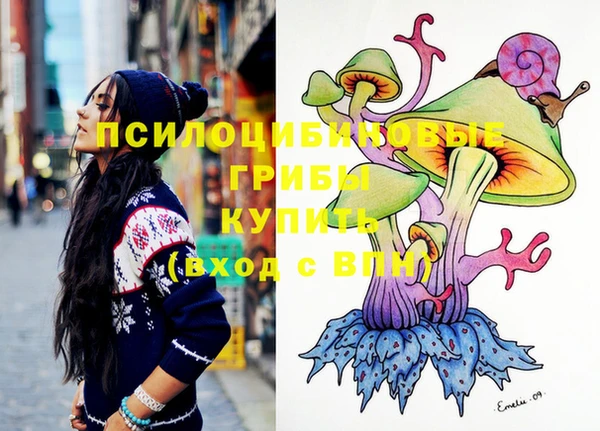 индика Новокубанск