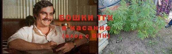 индика Новокубанск