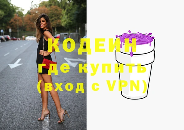 индика Новокубанск