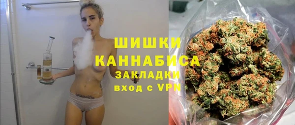 ECSTASY Гусь-Хрустальный