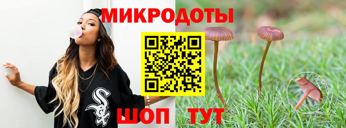 Камышлов  Галлюциногенные грибы прущие грибы  как найти закладки  Вход с VPN  Псилоцибиновые грибы мицелий 